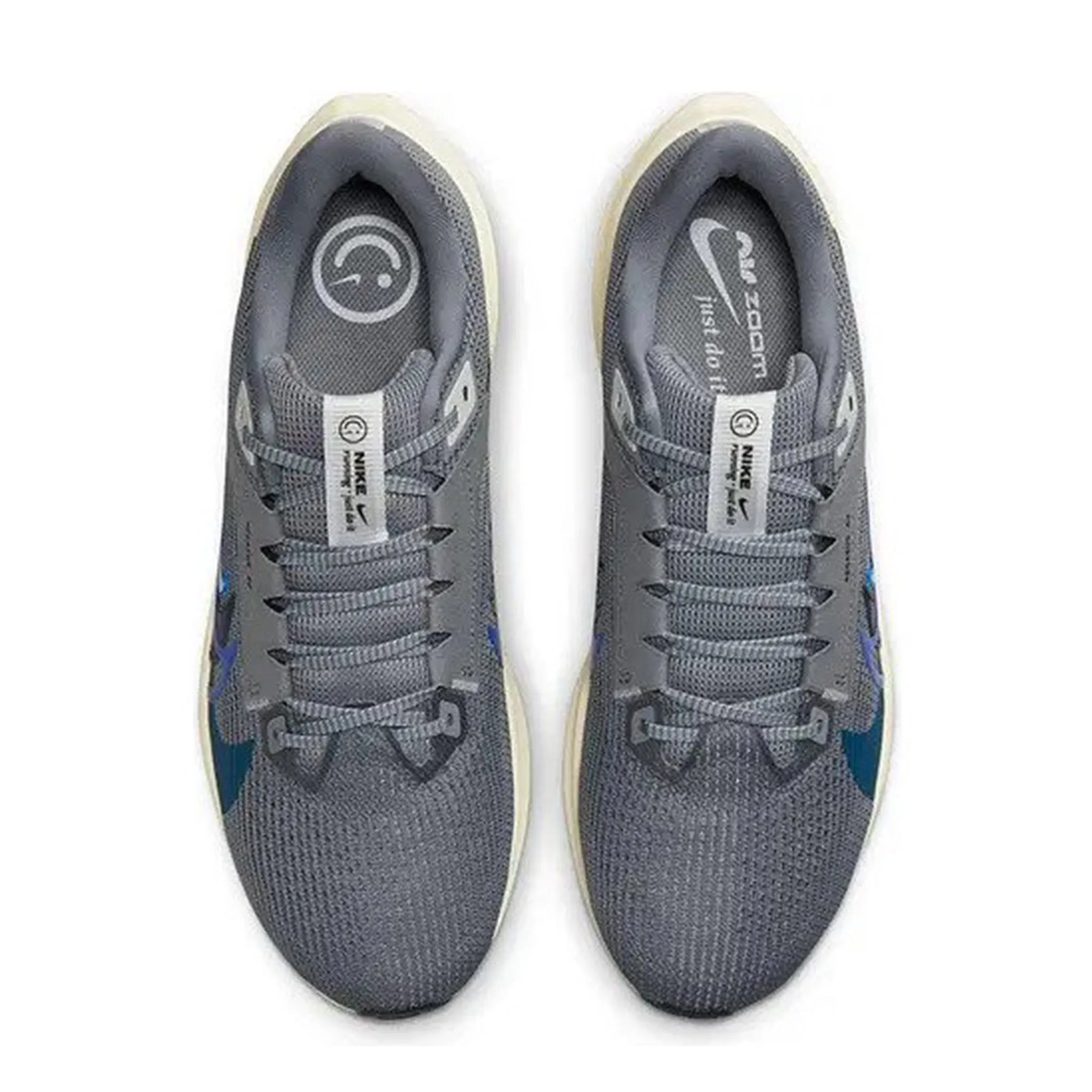 Nike Pegasus 40 Premium Smoke Grey
