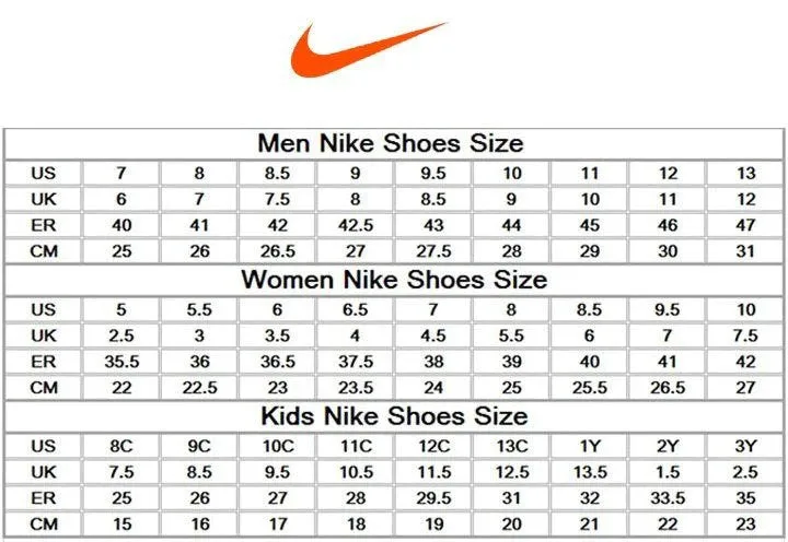 Nike Pegasus 40 Premium Smoke Grey