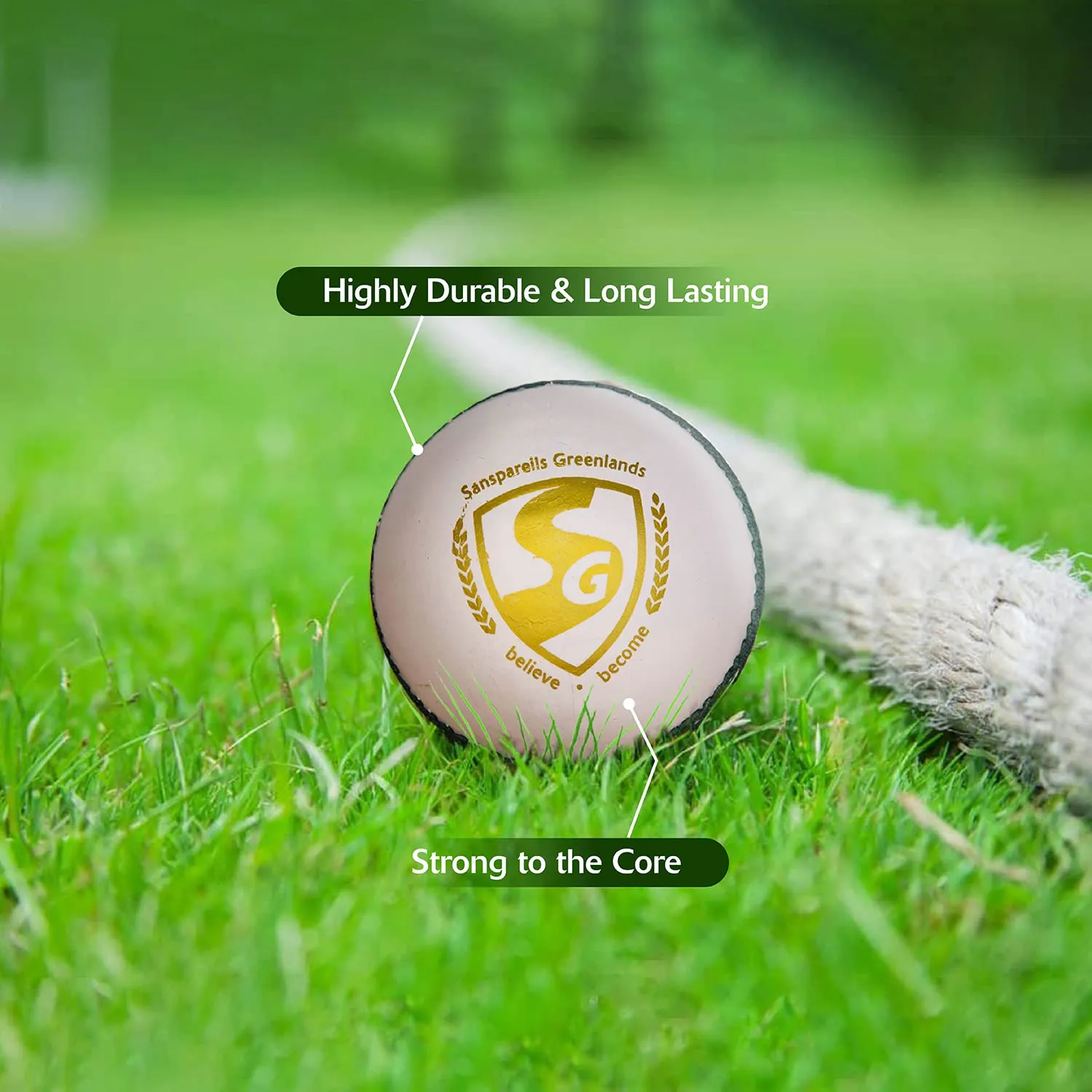 Shield 30 Water Proof Cricket Leather Ball (White)